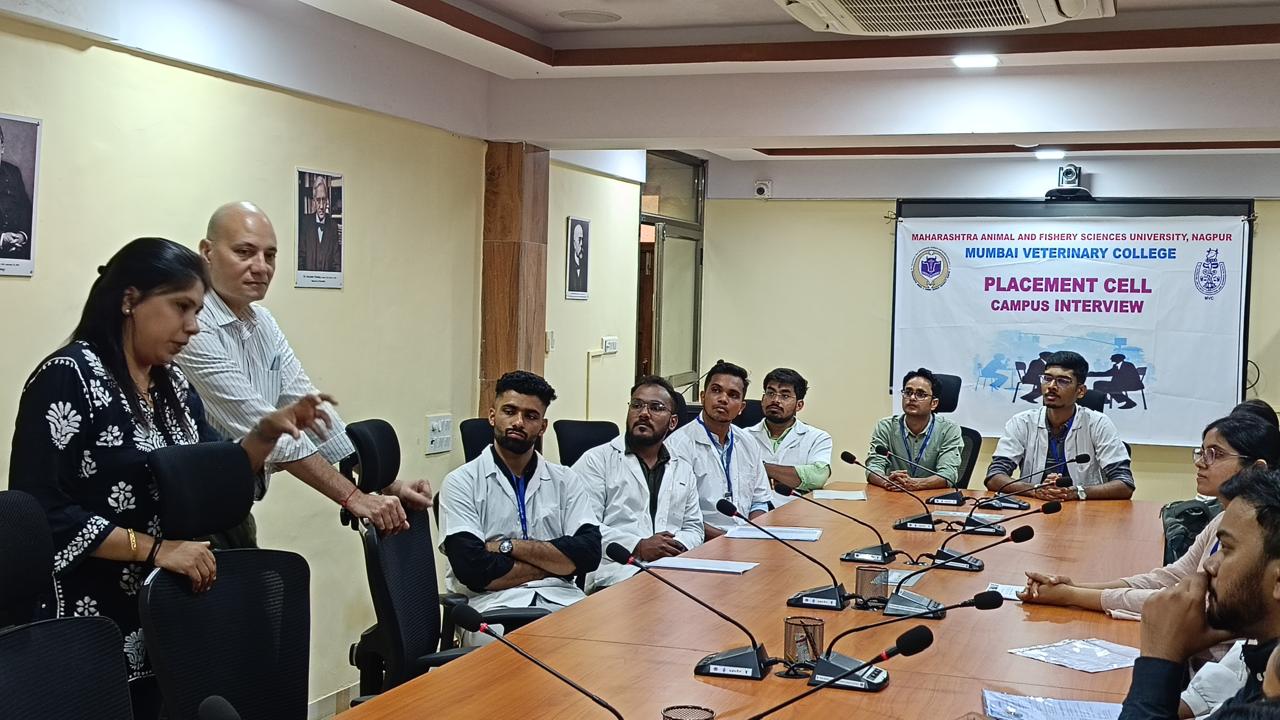 placement cell (6)